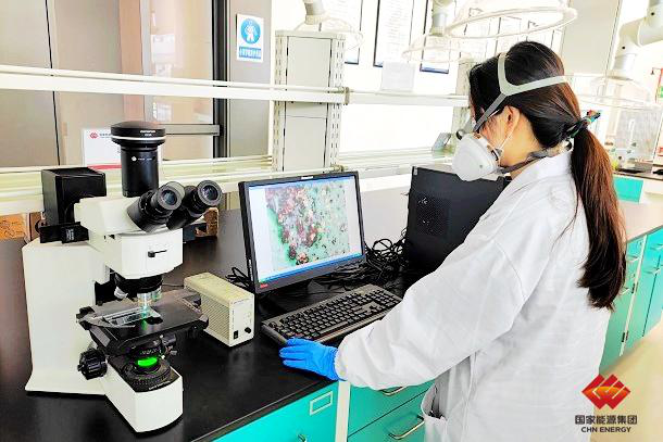 ������Դ���ŷ���������Ʒ���������Ż���Ŀ���ҵ�հ�-�����ʱ��桷��־